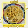 014 ♡Gulai Ampela Ayam♡
