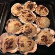 Vieiras gratinadas con bechamel