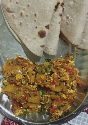 A picture of Paneer bhurji.