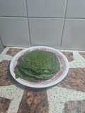 Masa de canelones con acelga integrales