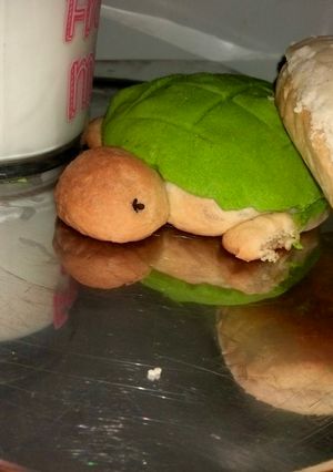 Una foto de Conchas