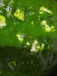 पालक पनीर (palak paneer recipe in marathi) रेसिपी चे मुख्य फोटो