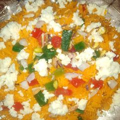 A picture of Zarda.