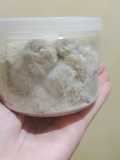 Mochi Oat Salju
