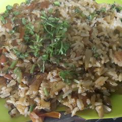 A picture of Tawa Pulao.