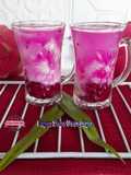 Degan Susu Buah Naga