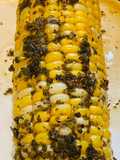Baked Italian Corn 🌽