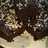 Eggless cake chocolate simple