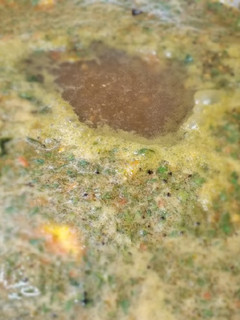 தூதுவளை ரசம் 😋🤤🤤🍛(thoothuvalai rasam recioe in tamil) செய்முறை முக்கிய புகைப்படம்