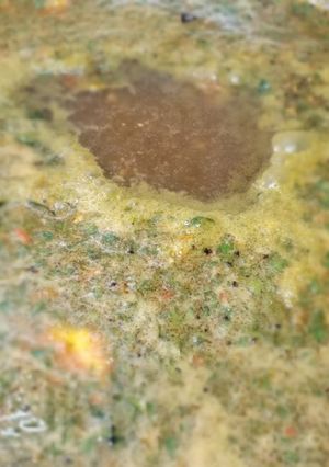 தூதுவளை ரசம் 😋🤤🤤🍛(thoothuvalai rasam recioe in tamil) செய்முறை முக்கிய புகைப்படம்