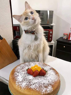 Una foto de Pan de naranja