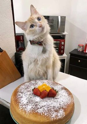 Una foto de Pan de naranja