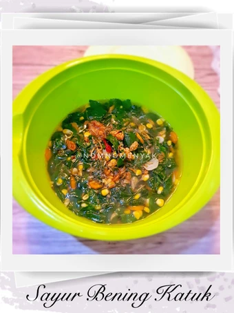 Cara Simple Membuat Resep  Sayur Bening Katuk/Sayur Katuk Bening yang Enak Banget, Menggugah Selera