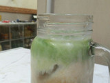 Thai tea greentea