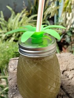 શેરડી નો રસ (Sugarcane Juice Recipe In Gujarati) રેસીપી મુખ્ય ફોટો