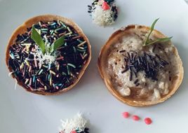 Terang bulan miniik