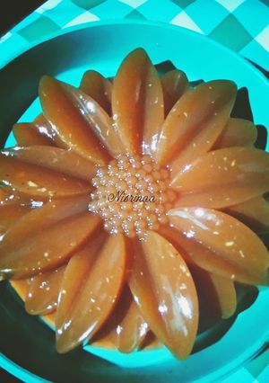 Foto resep Agar agar santan gula merah