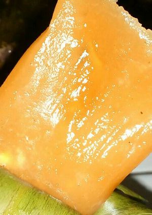 Foto resep Ketimus 😋