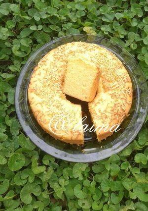 A picture of Fermented cassava cake.