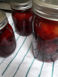 A picture of Preserved Plums.