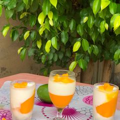 A picture of Mango pannacotta.