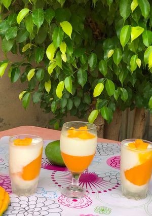 A picture of Mango pannacotta.