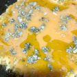 Ομελέτα με blue cheese