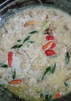 Foto resep 35. Tempe Ponorogo Resep Ibu