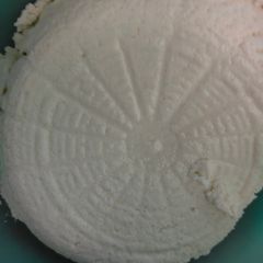 A picture of Homemade ricotta cheese.