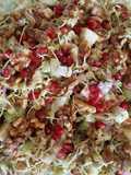 Sprouted Lentil Salad
