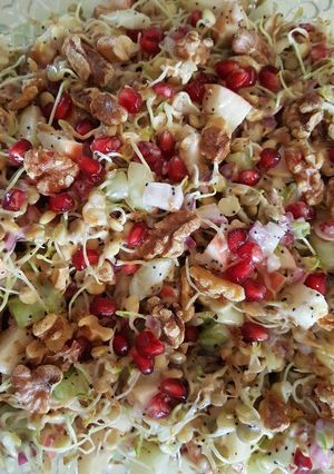 A picture of Sprouted Lentil Salad.