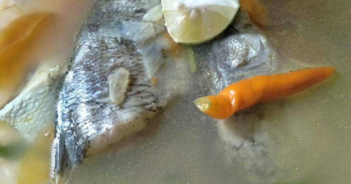 608 resep  sup ikan kakap kuah  bening  enak dan sederhana 