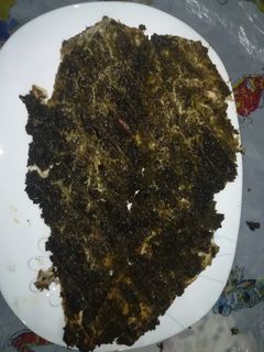 عکسی از دستور ماهی قزل آلا شهرکرد 😍