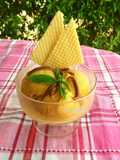 Helado de dulce de leche (con heladera y sin heladera)