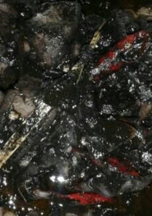Foto resep Cumi-Cumi Masak Hitam