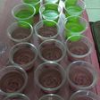 Puding kaca