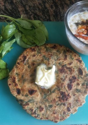 A picture of Spinach Paratha.