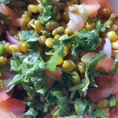 A picture of Moong sprout.