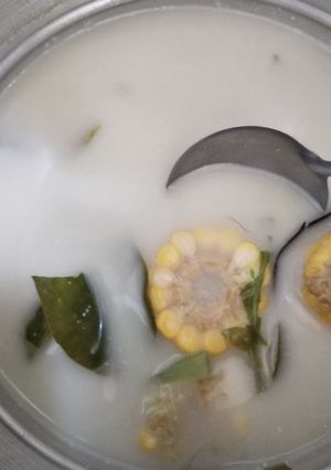 Foto resep Sayur Lodeh