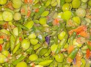 Gambar cepokak kacang panjang
