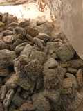 Chex Muddy Buddies