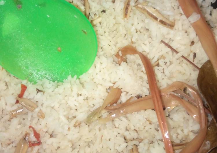Cara Gampang Menyiapkan Nasi liwet magic com yang Bikin Ngiler