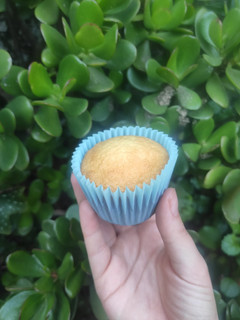 Una foto de Cupcakes