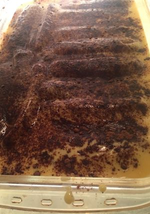 Una foto de Postre de vainillas mixto 😁