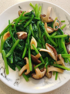 鮮菇炒菠菜 的食譜成品照片