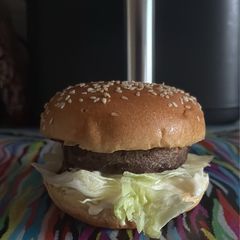 A picture of Vegetarian Mozzarella Burger.