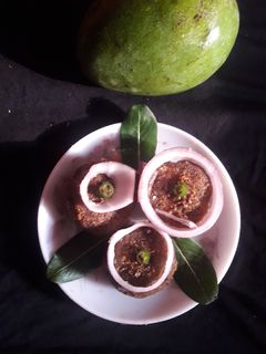 কাঁচা আম দিয়ে এঁচোড়ের চপ(kancha aam diye enchorer chop recipe in bengali) রেসিপির প্রধান ছবি