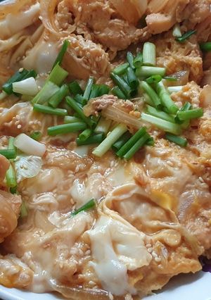 รูปของ โอยาโกะด้ง (กับข้าว)