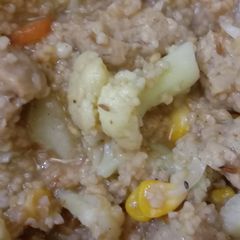 A picture of Vegetable porridge.