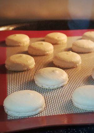 A picture of Classic French Macarons.